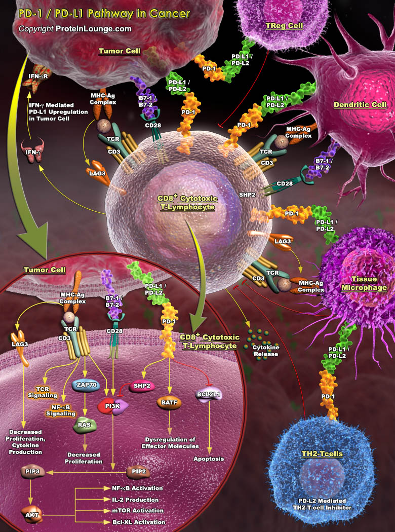 Biological Databases and Tools